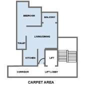 Carpet Area