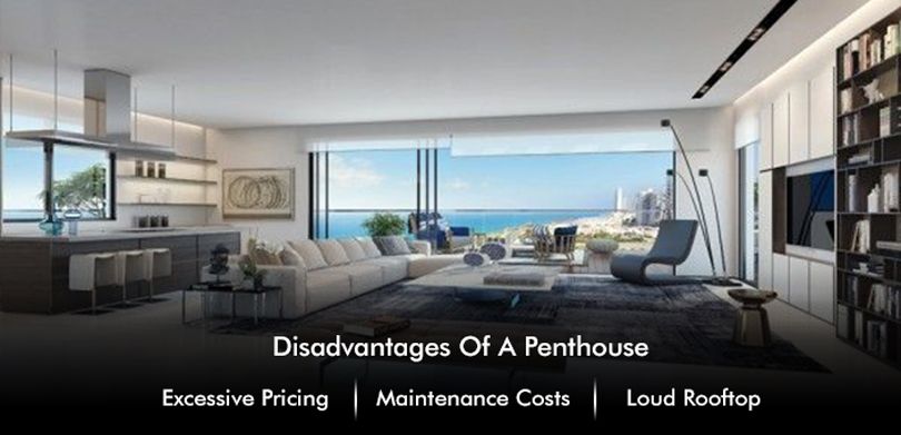 what is A Penthouse: disadvantage