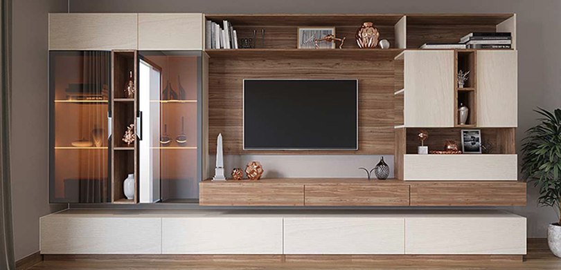 tv cabinet 1 BHK Flat Design