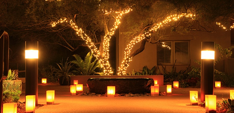 Diwali Decoration Ideas for Home Handmade - Ferry Lights on Tree 